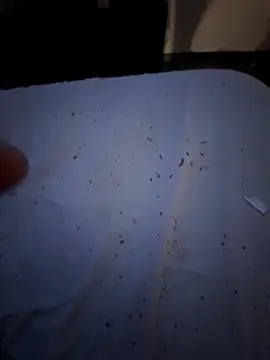 Csucsukahhh online show from 30, 12, 2024