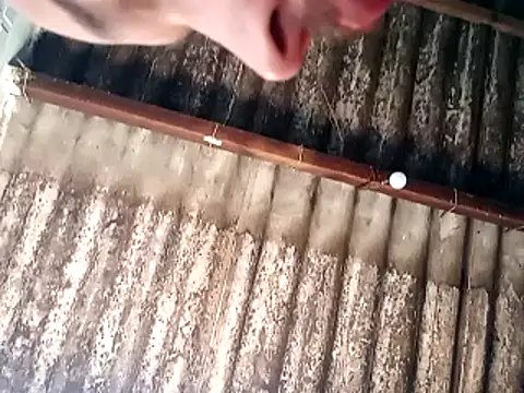 jhonwins01 online show from 19, 11, 2025