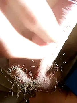 NudeYogaBoy online show from 7, 1, 2025