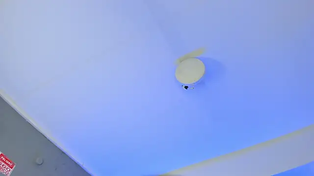 ArigyGomez online show from 14, 11, 2025