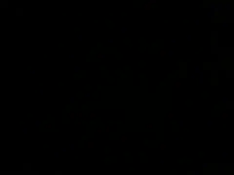 ArtemMR online show from 13, 12, 2024