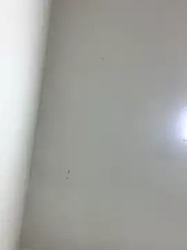 Snapshot of LinnaGardenia chatting on 1, 10, 2025 LinnaGardenia online show from 1, 10, 2025