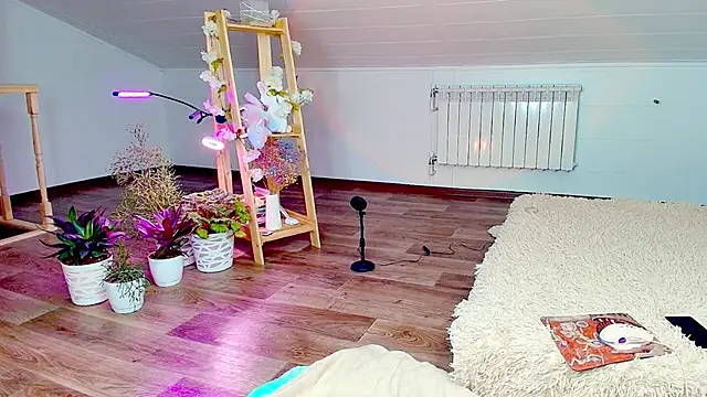 Meowroslava online show from 7, 11, 2025