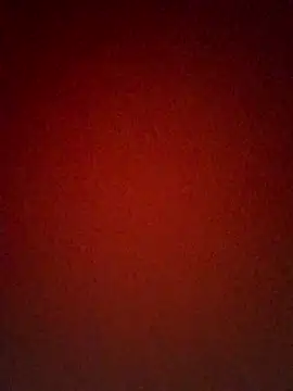 Snapshot of HangdogBeggary chatting on 4, 12, 2024 HangdogBeggary online show from 4, 12, 2024