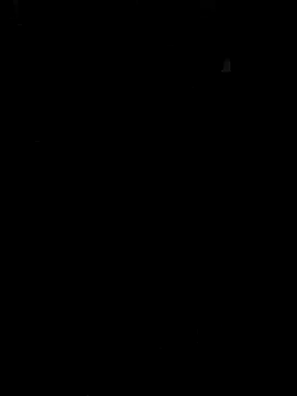 Lami Mi online show from 5, 12, 2025