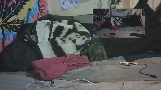 jaxx12369 online show from 11, 2, 2025