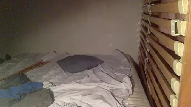 Snapshot of TweakyDude chatting on 31, 10, 2025 TweakyDude online show from 31, 10, 2025