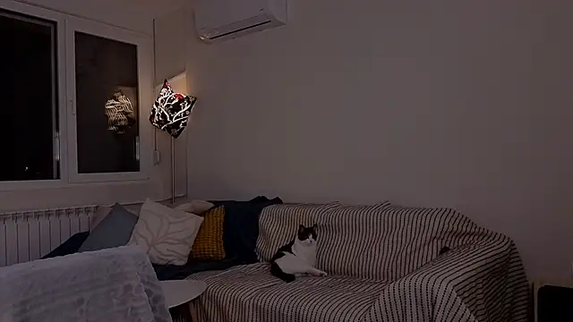 amber quell here online show from 25, 11, 2025