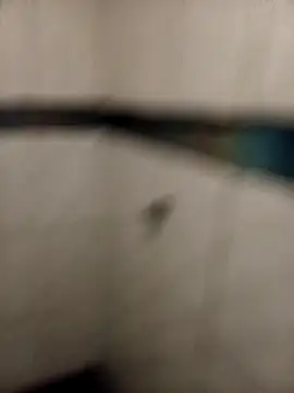 ladygmusic online show from 6, 2, 2026