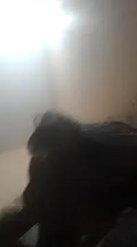 Snapshot of Sajal-03 chatting on 1, 12, 2024 Sajal-03 online show from 1, 12, 2024