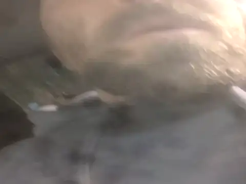 Snapshot of jwiththethickone413 chatting on 17, 11, 2025 jwiththethickone413 online show from 17, 11, 2025