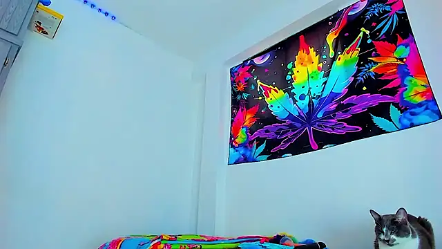 Sexyboy 666 online show from 3, 2, 2026