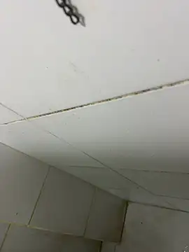 Snapshot of thfrances chatting on 27, 2, 2026 thfrances online show from 27, 2, 2026