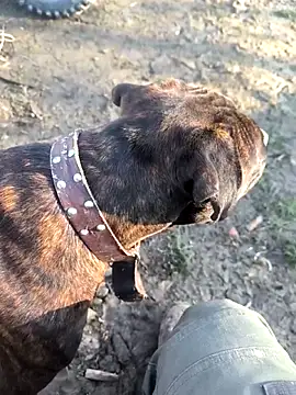 mitulik84 online show from 19, 12, 2025