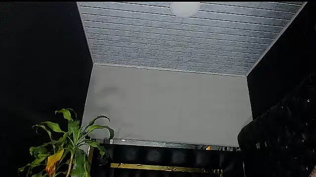 Kitie Petarda online show from 19, 10, 2025