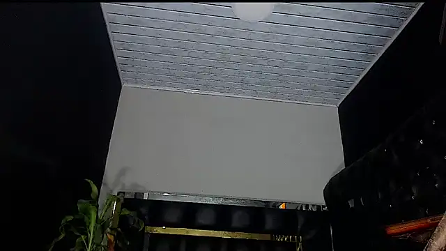 Kitie Petarda online show from 23, 10, 2025