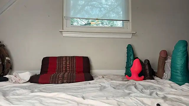 Theonlydreamybull online show from 3, 12, 2025