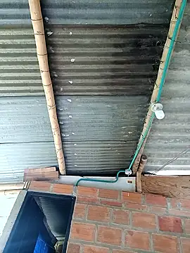 Snapshot of Janle_19c chatting on 6, 12, 2024 Janle 19c online show from 6, 12, 2024