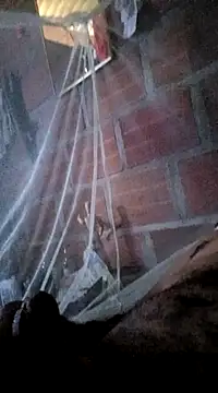 Snapshot of Janle_19c chatting on 7, 1, 2025 Janle 19c online show from 7, 1, 2025