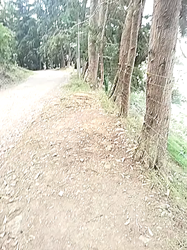 Demiansteven2 online show from 13, 3, 2026