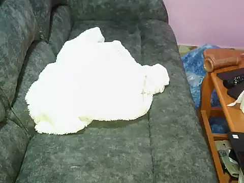 Snapshot of petitev chatting on 4, 11, 2025 petitev online show from 4, 11, 2025