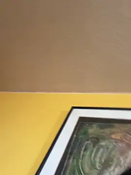 Noviostoxico online show from 4, 12, 2025