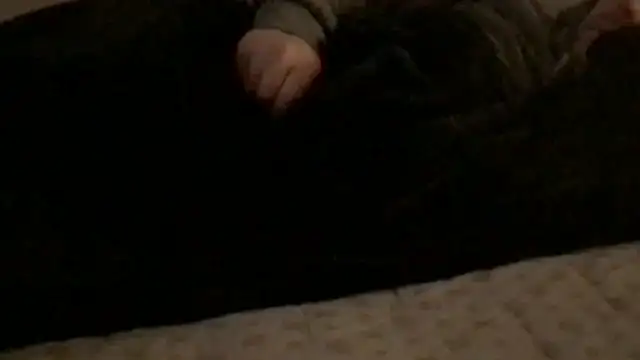 Snapshot of Rock_Pierce chatting on 28, 2, 2026 Rock Pierce online show from 28, 2, 2026