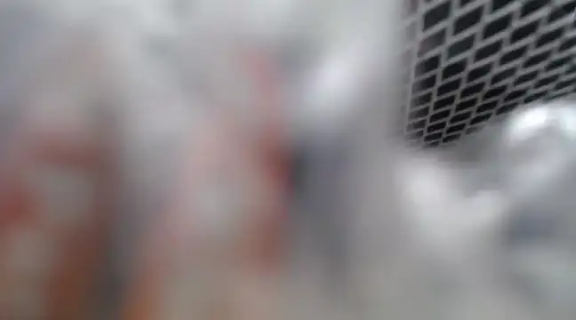 Lovensetest online show from 26, 2, 2025