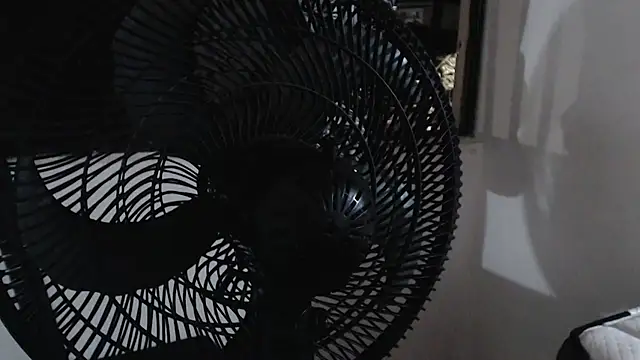 harry greg21 online show from 15, 11, 2025