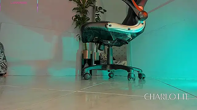 Snapshot of charlotte__grey chatting on 20, 11, 2025 charlotte grey online show from 20, 11, 2025