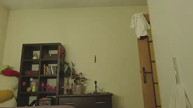 Snapshot of Niter chatting on 15, 1, 2025 Niter online show from 15, 1, 2025