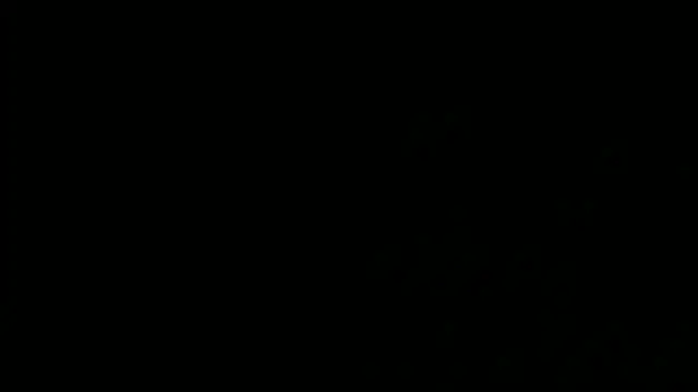 SensualJane2 online show from 5, 1, 2025