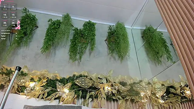 Lana Lann online show from 28, 12, 2024