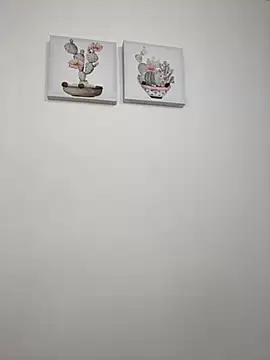 SophiaLaurens online show from 14, 10, 2025