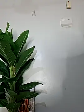 korah01 online show from 14, 11, 2025