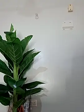 korah01 online show from 19, 11, 2025