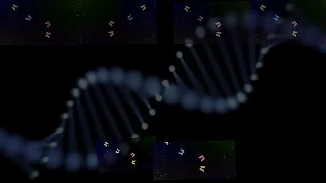 Snapshot of OwenBluee chatting on 29, 1, 2025 OwenBluee online show from 29, 1, 2025