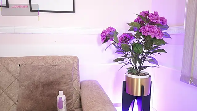 Anybuny online show from 18, 12, 2025