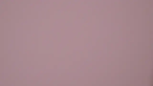 Snapshot of RissaRheys chatting on 1, 3, 2025 RissaRheys online show from 1, 3, 2025