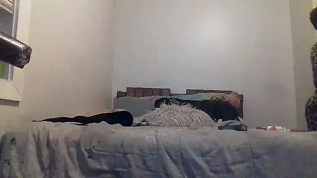 AllLeggs online show from 20, 3, 2026