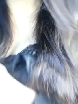  Linez  online show from 28, 10, 2025