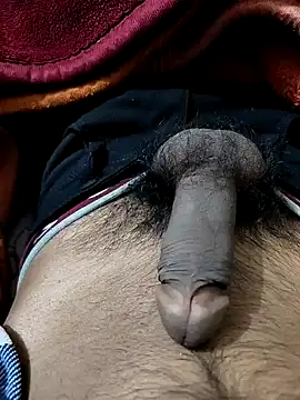 Snapshot of PAWARXX_0 chatting on 9, 1, 2025 PAWARXX 0 online show from 9, 1, 2025