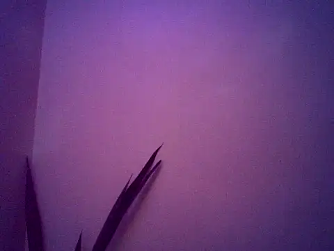 Snapshot of Malandralle chatting on 25, 11, 2025 Malandralle online show from 25, 11, 2025