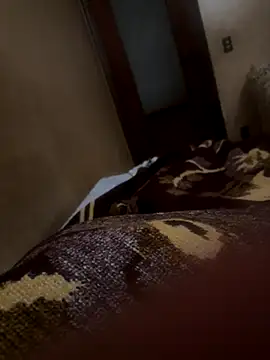 bigboy30X online show from 21, 10, 2025