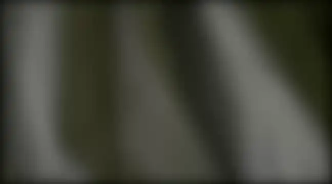 YoungHairyBi online show from 28, 2, 2025