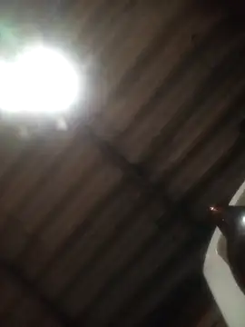 weedmanhot28 online show from 21, 12, 2025