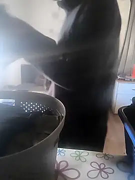 Naked Ben online show from 7, 4, 2026