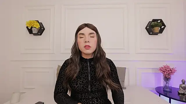 meloddysky online show from 20, 11, 2025