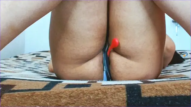 Geisha Seniers online show from 11, 3, 2026