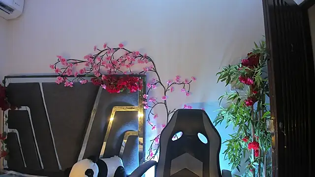 Black Rose2 online show from 9, 11, 2025